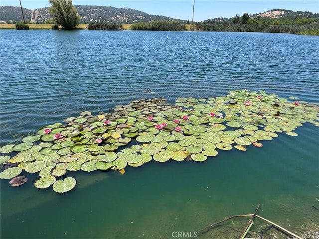 29400 Skyline Dr, Tehachapi, CA 93561 - photo 35