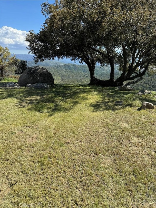 29400 Skyline Dr, Tehachapi, CA 93561 - photo 42