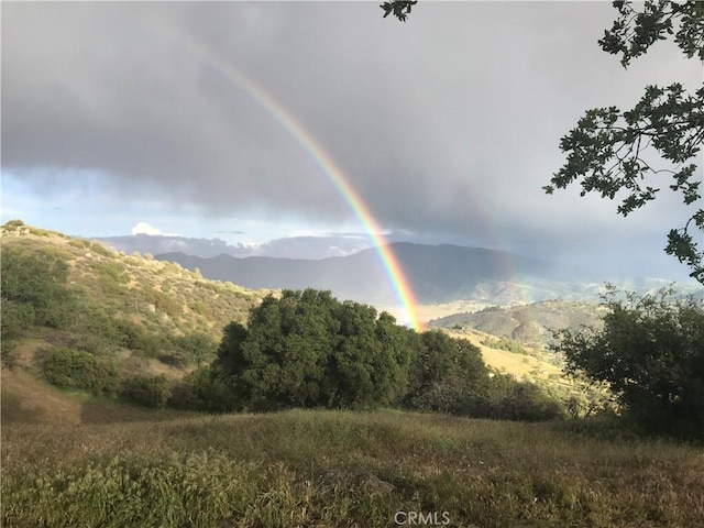 29400 Skyline Dr, Tehachapi, CA 93561 - photo 54