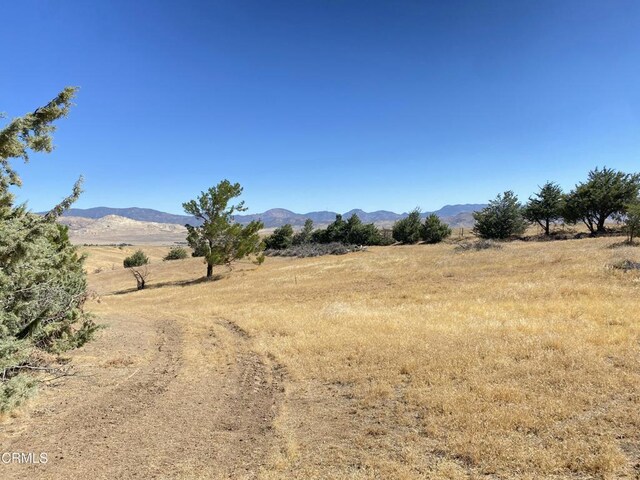 18300 Grant Pl, Tehachapi, CA 93561 - photo 10