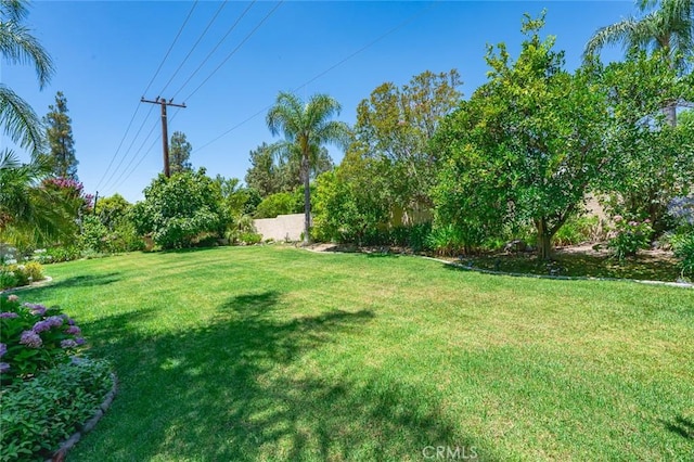 641 Trail View Ct, Upland, CA 91784 - photo 58
