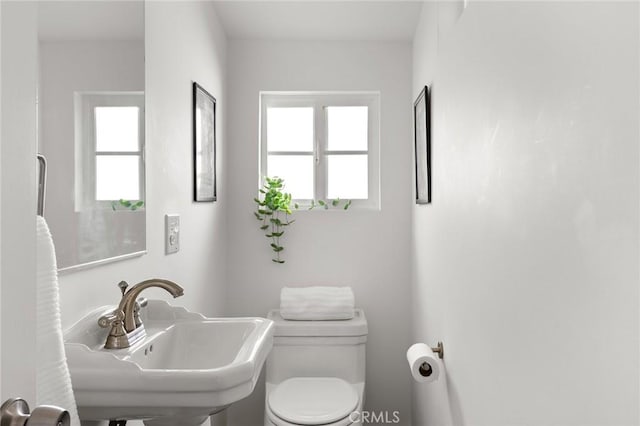 3210 Windsor Ave, Los Angeles, CA 90039 - photo 15