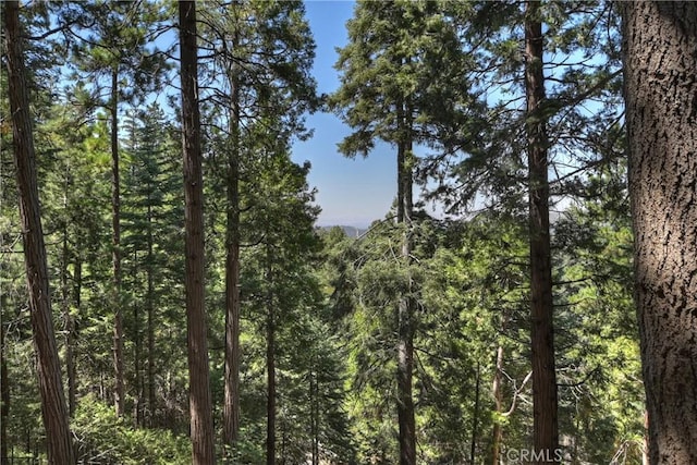 1049 Mercury Way, Crestline, CA 92325 - photo 39