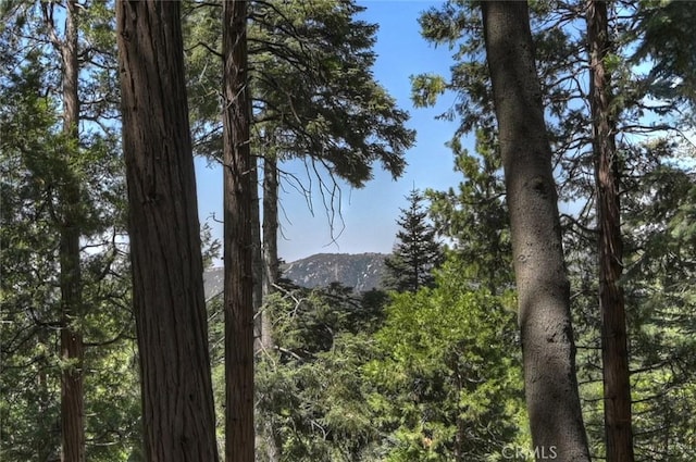 1049 Mercury Way, Crestline, CA 92325 - photo 12