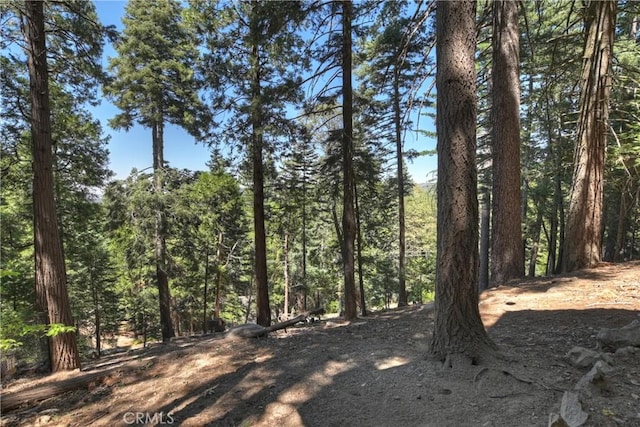 1049 Mercury Way, Crestline, CA 92325 - photo 40