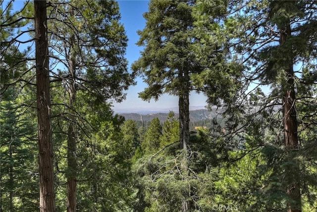 1049 Mercury Way, Crestline, CA 92325 - photo 13