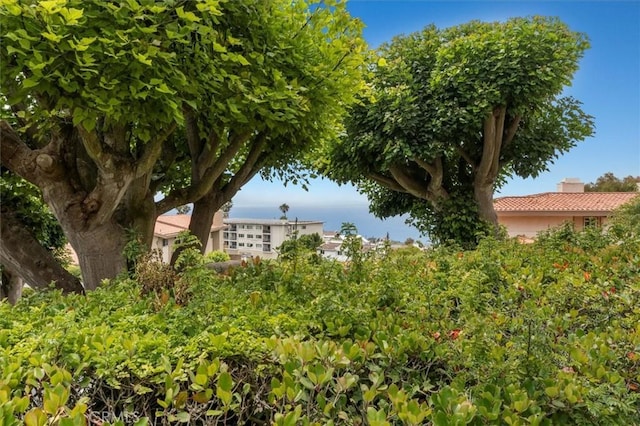 1 Coraltree Ln Unit 11, Rolling Hills Estates, CA 90274 - photo 44