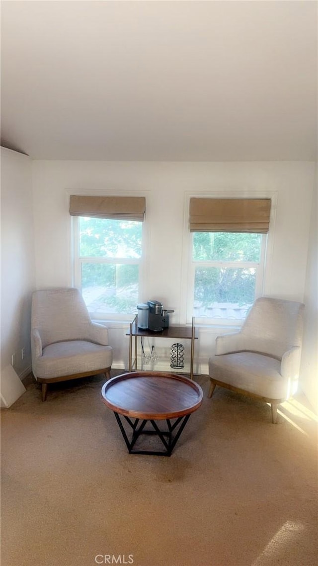 10431 Tussing Ranch Ct, Apple Valley, CA 92308 - photo 20