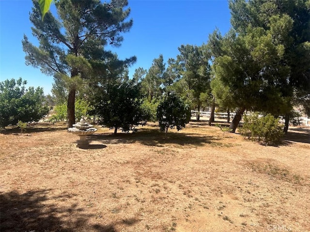 10431 Tussing Ranch Ct, Apple Valley, CA 92308 - photo 53