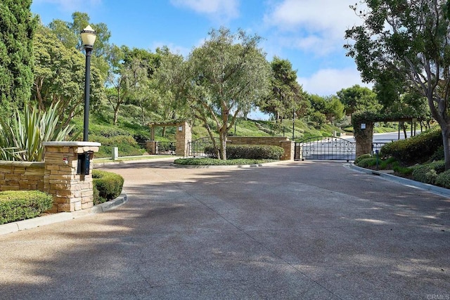 517 Hidden Ridge Ct, Encinitas, CA 92024 - photo 33