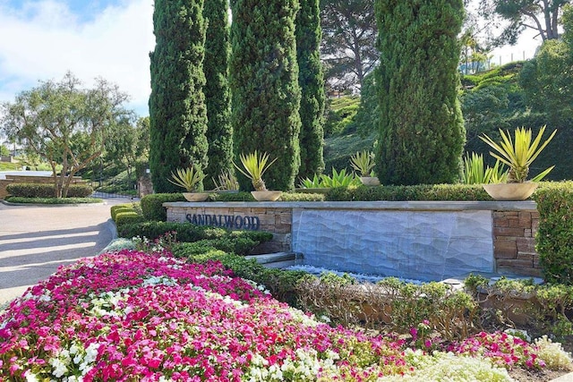 517 Hidden Ridge Ct, Encinitas, CA 92024 - photo 32