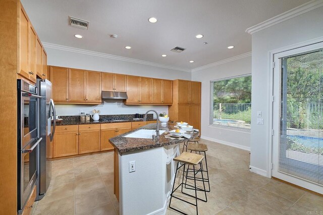 517 Hidden Ridge Ct, Encinitas, CA 92024 - photo 13