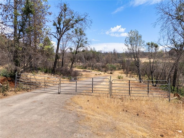 49 Redbank Rd, Cohasset, CA 95973 - photo 5