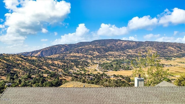 30730 Fox Ridge Ct, Tehachapi, CA 93561 - photo 55