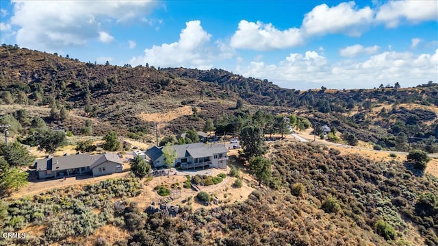 30730 Fox Ridge Ct, Tehachapi, CA 93561 - photo 57