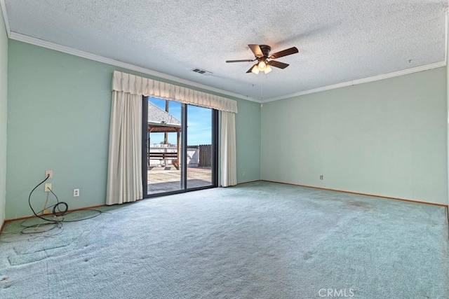 459 Roosevelt St, Coalinga, CA 93210 - photo 4