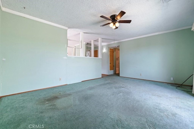 459 Roosevelt St, Coalinga, CA 93210 - photo 6