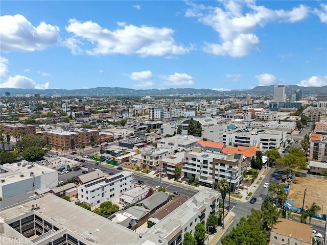 3148 W 11th St, Los Angeles, CA 90006 - photo 27
