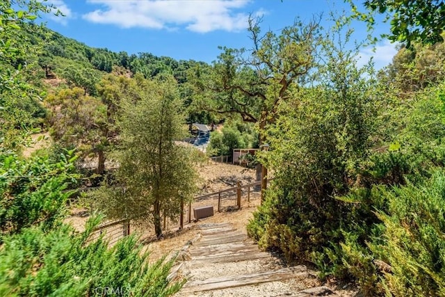 11555 Cenegal Rd, Atascadero, CA 93422 - photo 52