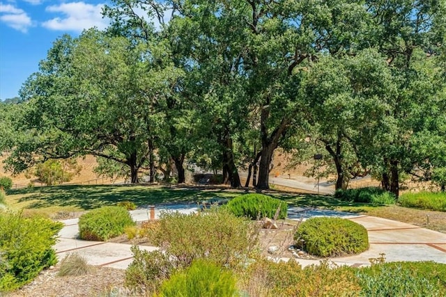 11555 Cenegal Rd, Atascadero, CA 93422 - photo 5