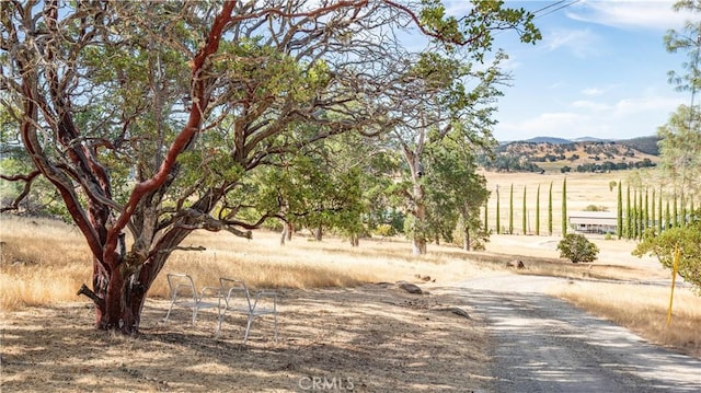 22077 Callayomi Rd, Middletown, CA 95461 - photo 48