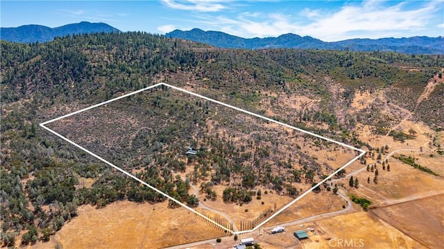 22077 Callayomi Rd, Middletown, CA 95461 - photo 39