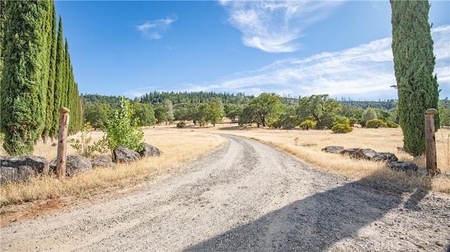 22077 Callayomi Rd, Middletown, CA 95461 - photo 47