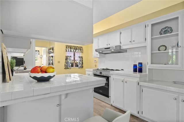 900 Cherry Hills Dr, Bakersfield, CA 93309 - photo 8