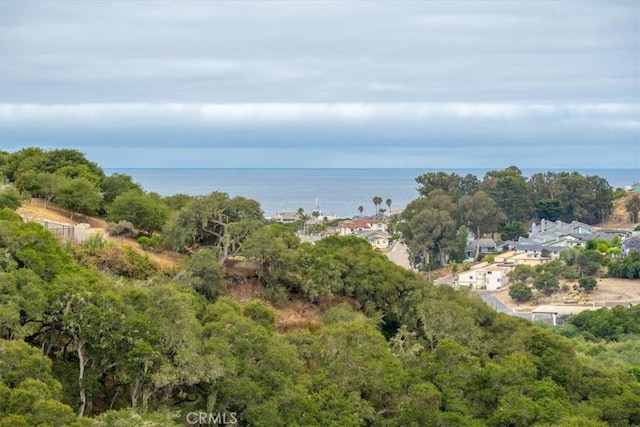 207 Princessa Ln, Pismo Beach, CA 93449 - photo 19
