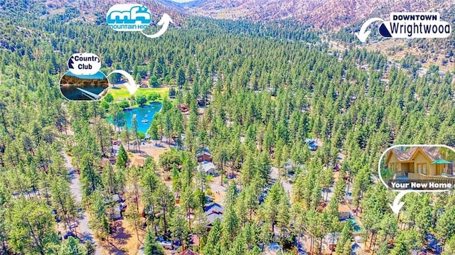 1451 Irene St, Wrightwood, CA 92397 - photo 19
