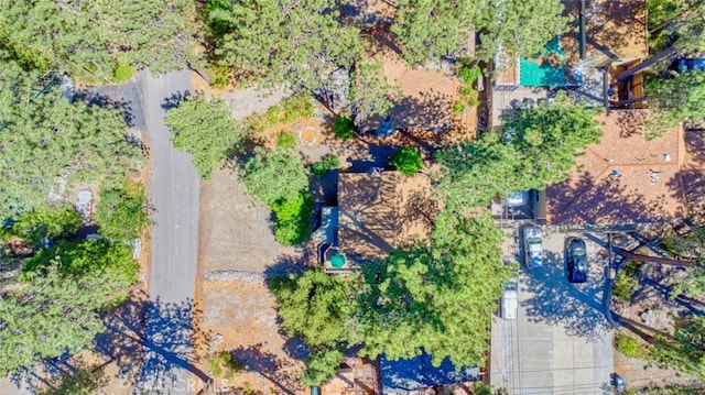 1451 Irene St, Wrightwood, CA 92397 - photo 4