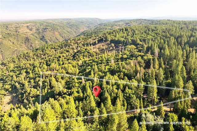 14969 Centerville Rd, Magalia, CA 95954 - photo 42