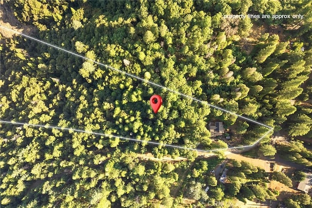 14969 Centerville Rd, Magalia, CA 95954 - photo 44