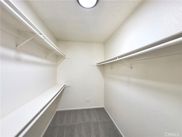 22311 Thunderbird Rd, Apple Valley, CA 92307 - photo 19