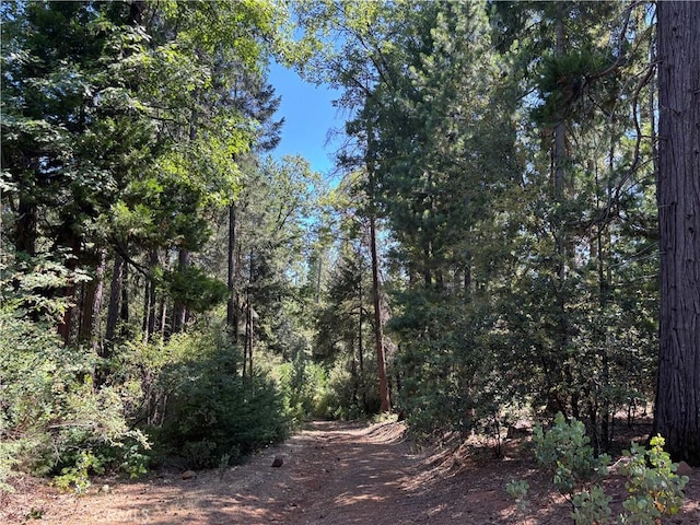 0 Via De Maia, Magalia, CA 95954 - photo 15