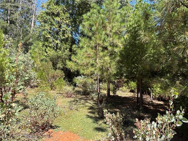 0 Via De Maia, Magalia, CA 95954 - photo 12