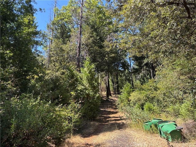 0 Via De Maia, Magalia, CA 95954 - photo 19