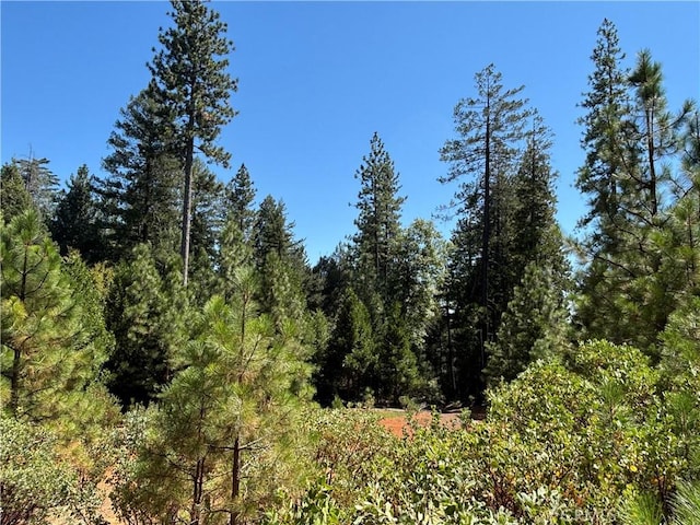 0 Via De Maia, Magalia, CA 95954 - photo 14