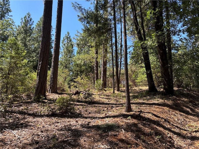 0 Via De Maia, Magalia, CA 95954 - photo 16