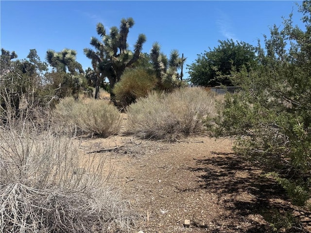 9268 Sierra Vista Rd, Phelan, CA 92371 - photo 25