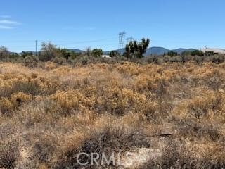 13025 Stuveling, Oak Hills, CA 92344 - photo 3