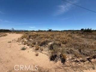 13025 Stuveling, Oak Hills, CA 92344 - photo 4