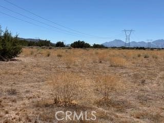 13025 Stuveling, Oak Hills, CA 92344 - photo 2