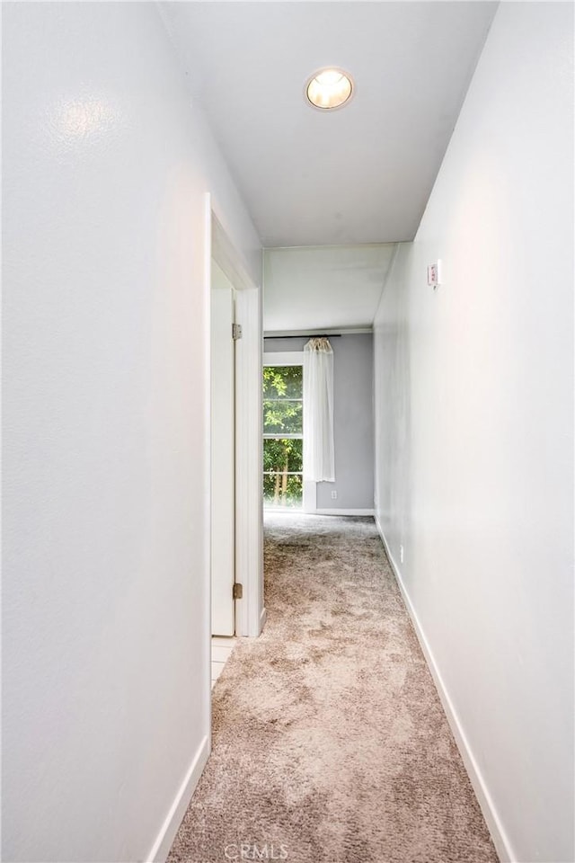 1401 S Bentley Ave Unit 203, Los Angeles, CA 90025 - photo 28