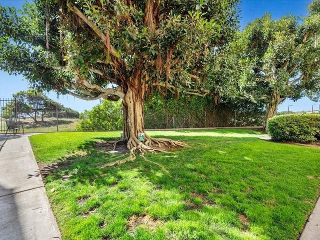8180 Manitoba St Unit 360, Playa Del Rey, CA 90293 - photo 50
