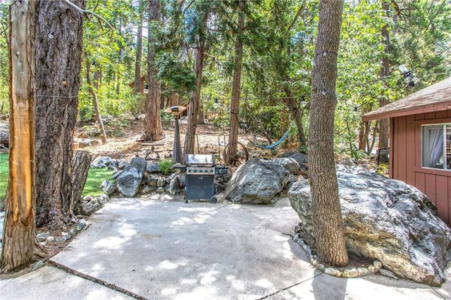 9269 Wood Rd, Forest Falls, CA 92339 - photo 25