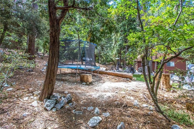 9269 Wood Rd, Forest Falls, CA 92339 - photo 30