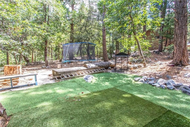9269 Wood Rd, Forest Falls, CA 92339 - photo 26