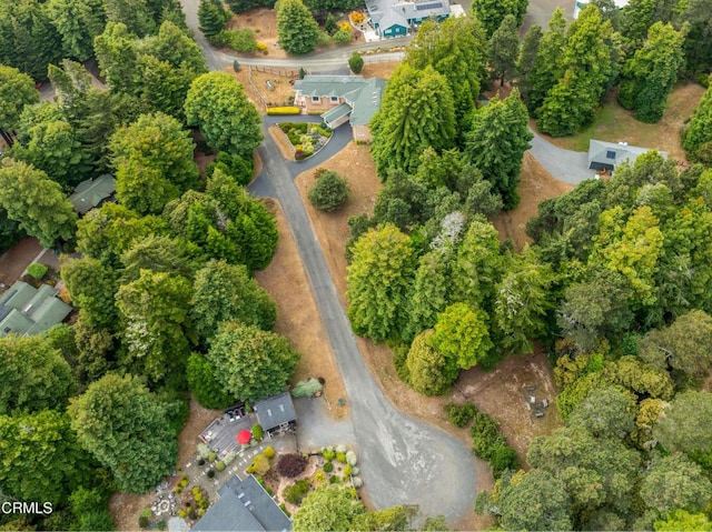 16611 Pearl Ranch Rd, Fort Bragg, CA 95437 - photo 43