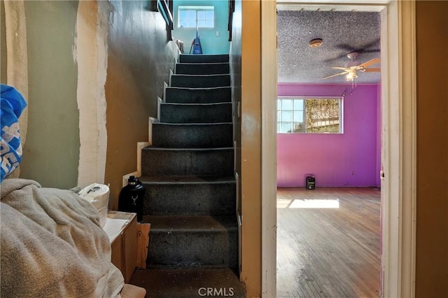 6178 Roy St, Los Angeles, CA 90042 - photo 20